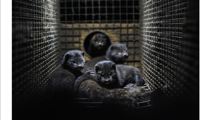 Screenshot_20220205_121026