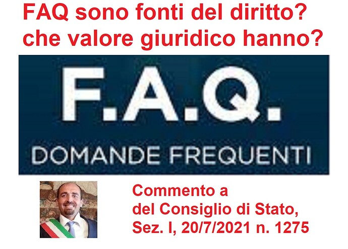 20210819-FAQ-consigliodistato