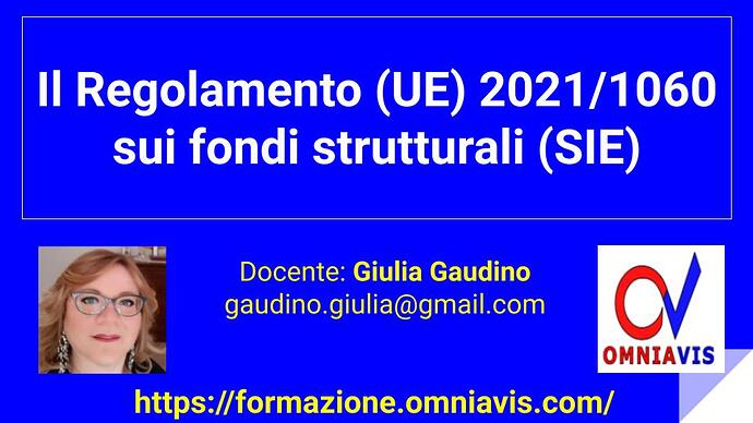 20211213-Cod090_06-Cod802-Gaudino-Regolamento1060