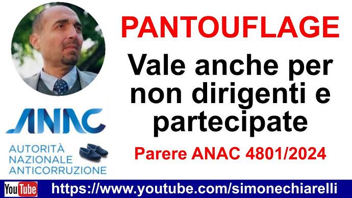 20241211-Pantouflage-partecipata